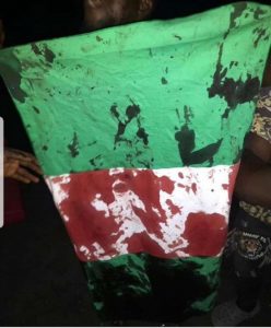 Nigerian protester killed while holding Nigerian flag