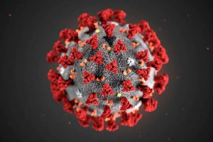 Image of COVID-19 virus
